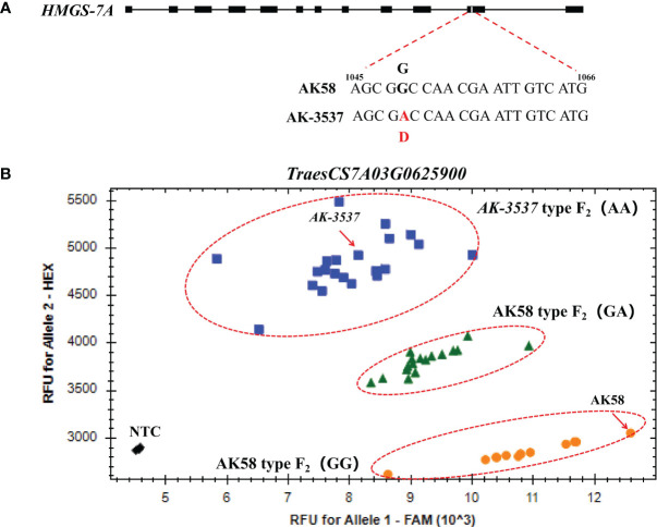 Figure 5