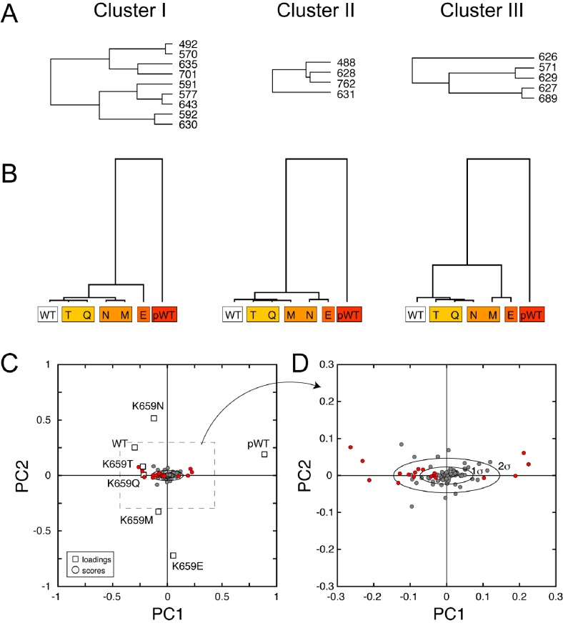 Figure 9—figure supplement 2.