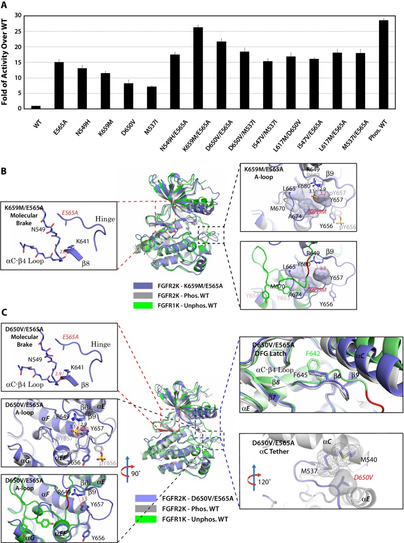 Figure 12.