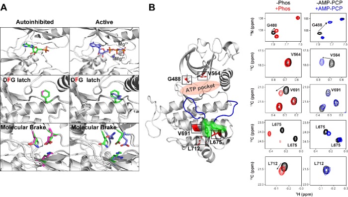 Figure 6—figure supplement 1.