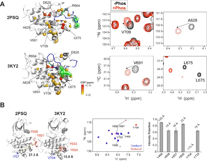 Figure 2—figure supplement 1.