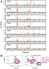 Figure 9—figure supplement 1.