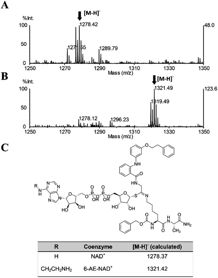 Fig. 9