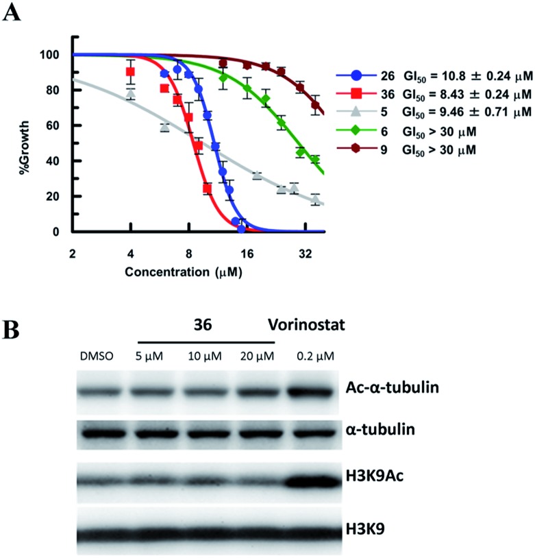 Fig. 10