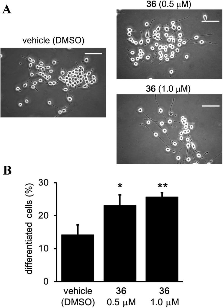 Fig. 11