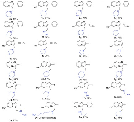 graphic file with name ao-2019-000359_0006.jpg