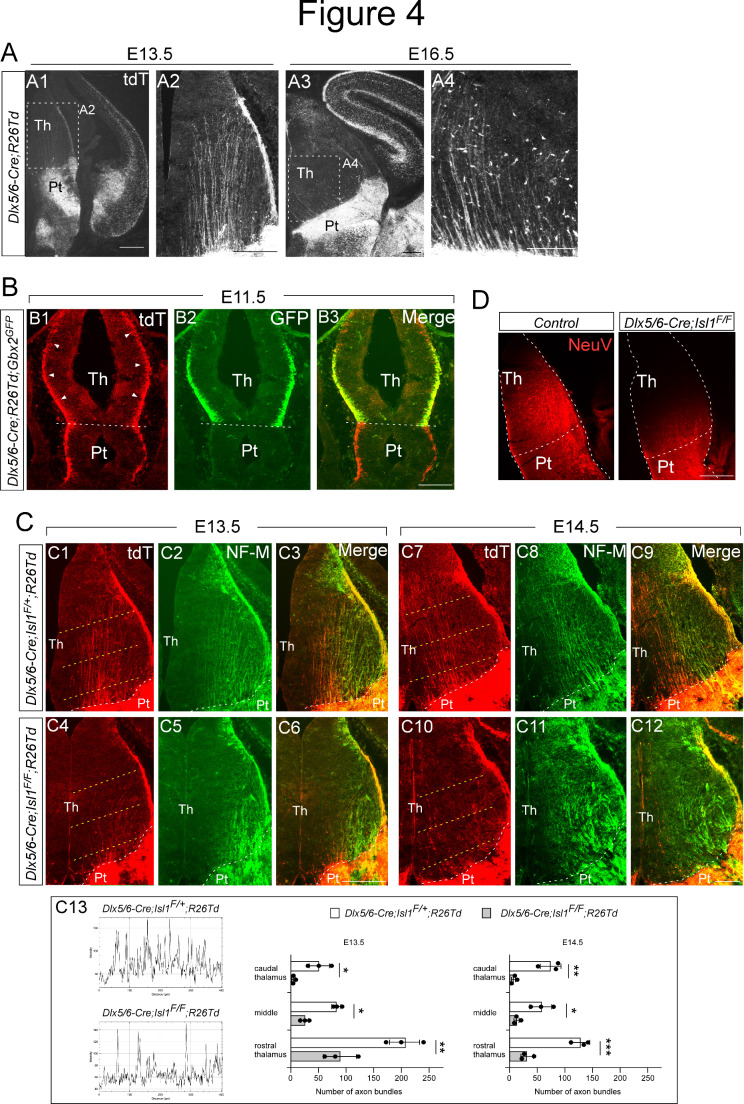 Fig. 4