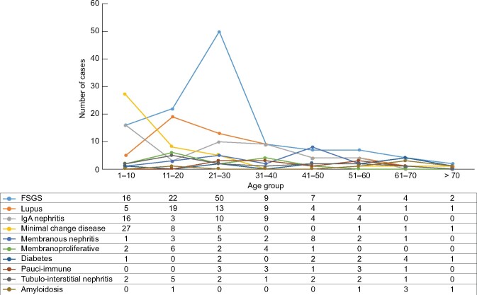 FIGURE 7: Main histopathological diagnoses and age distribution.