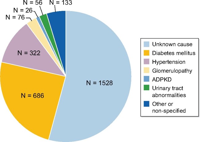 FIGURE 2: Causes of CKD of prevalent patients with treated ESRD (dialysis and transplant) in the state of Aguascalientes (April 2020): unknown origin 54%, DM 24.2%, hypertension 11.3%, glomerulopathy 2.6%, urinary tract abnormalities 1.9%, ADPKD 0.9% and other or unspecified 4.7%. ADPKD, autosomal dominant polycystic kidney disease.