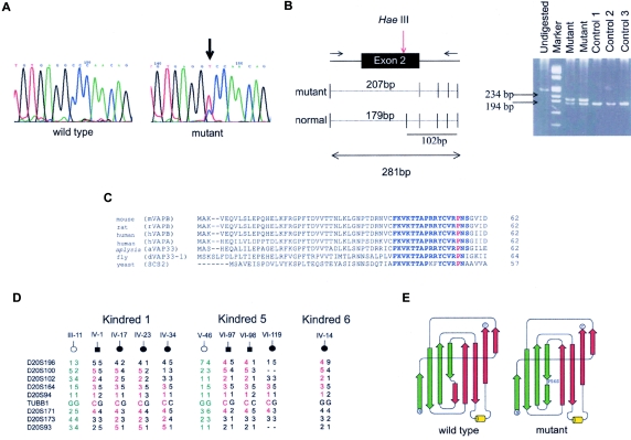 Figure  2