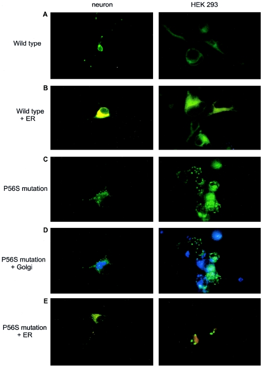 Figure  3