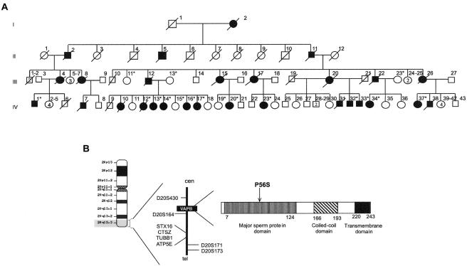 Figure  1