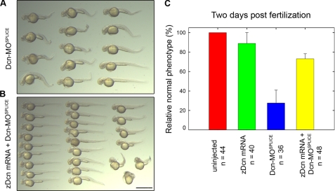 FIGURE 7.