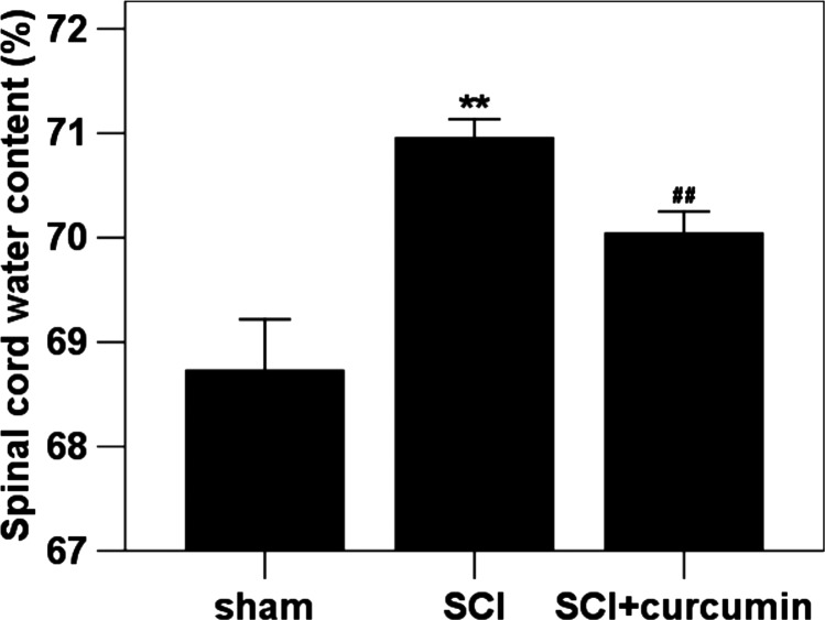 Figure 6 