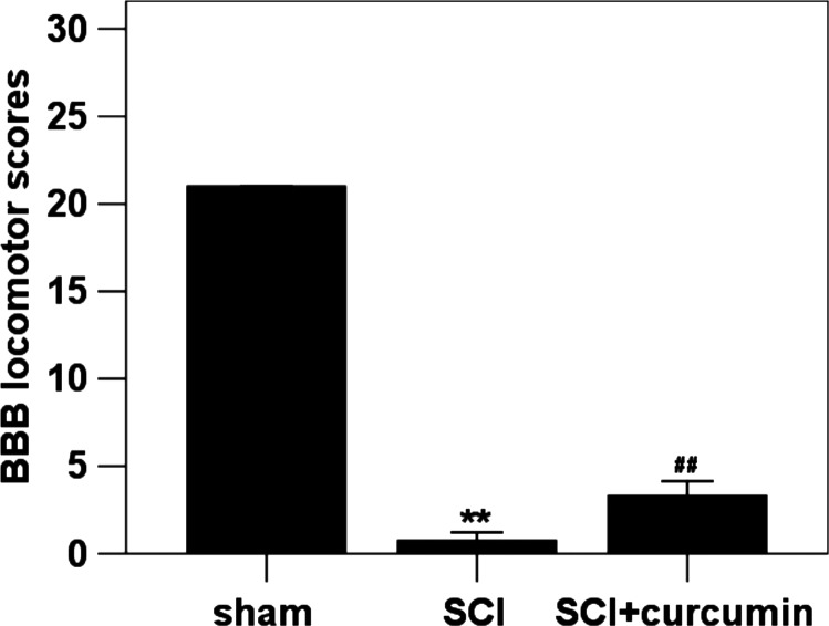 Figure 5 