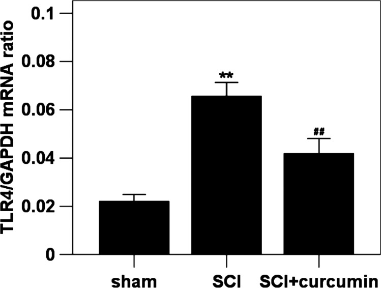 Figure 1 