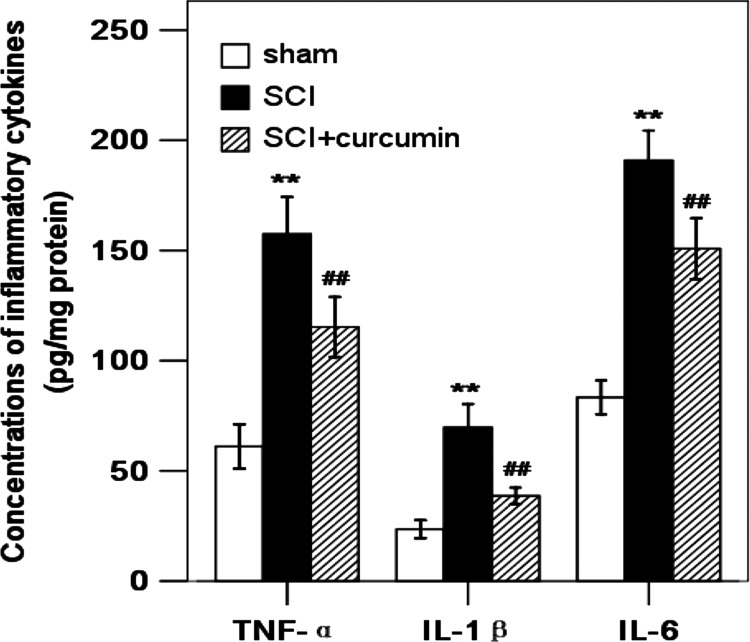 Figure 4 