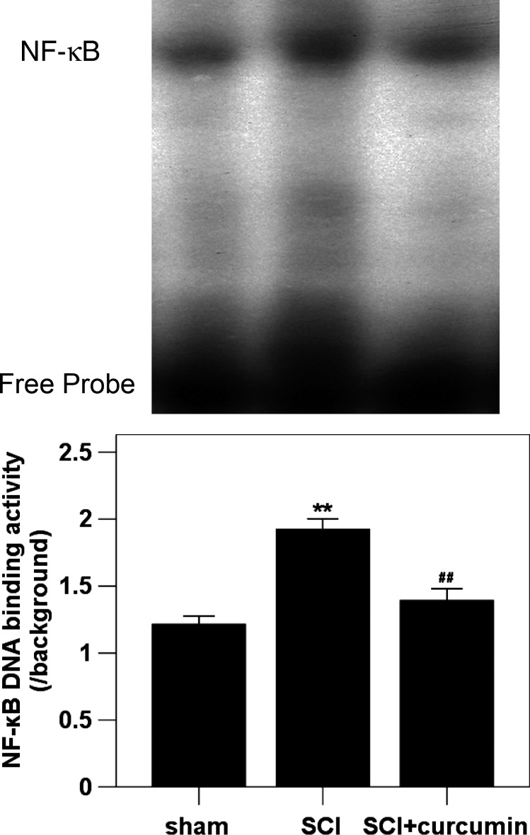 Figure 3 