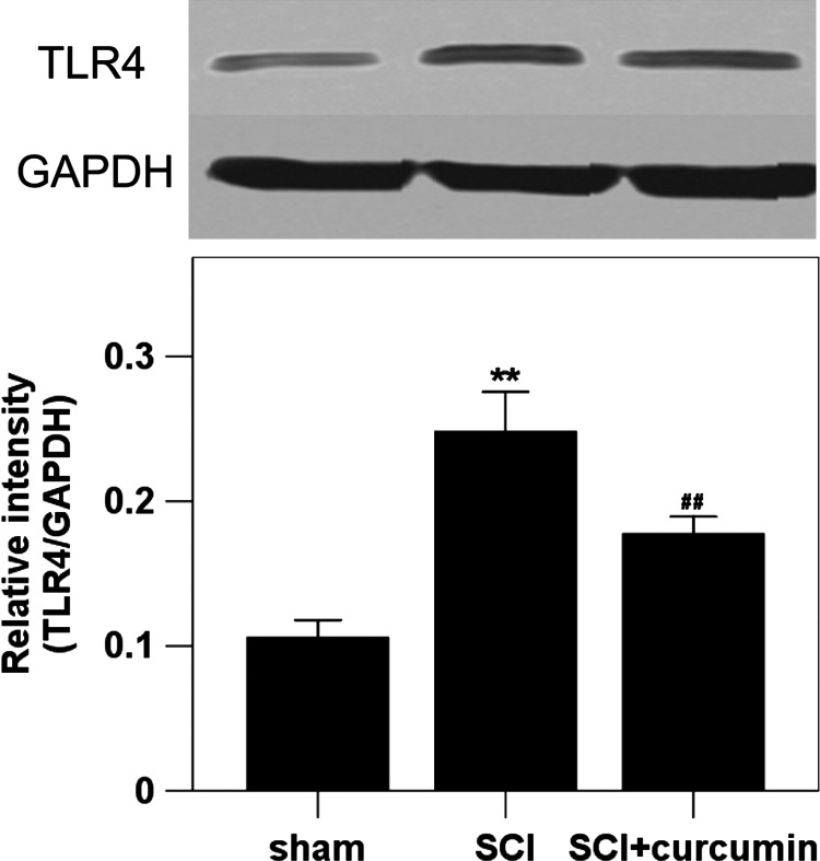 Figure 2 