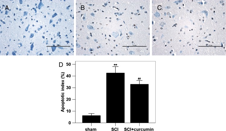 Figure 7 