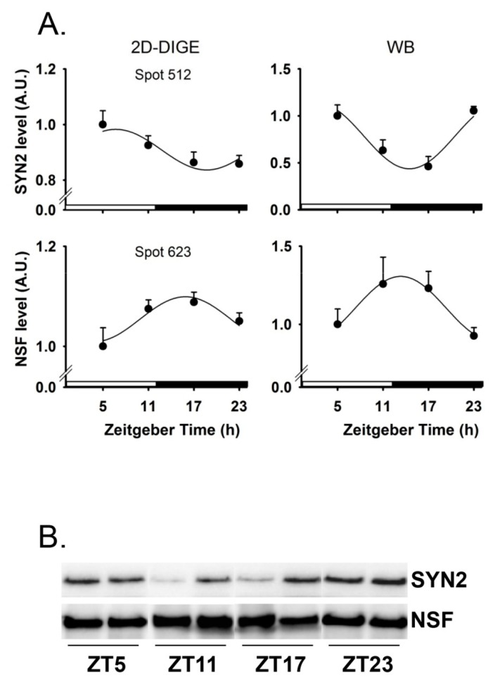 Figure 4