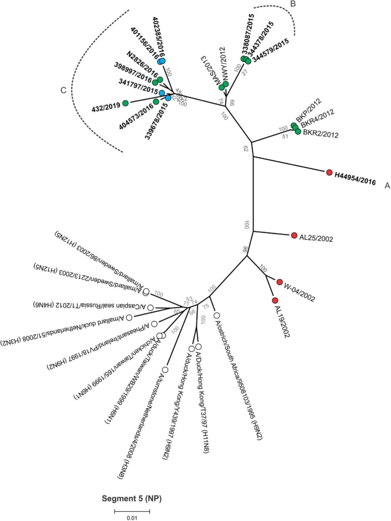 Fig. 7