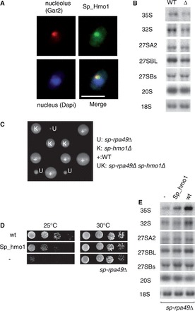 Figure 6.