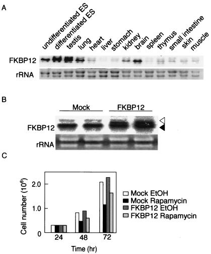 FIG. 7.