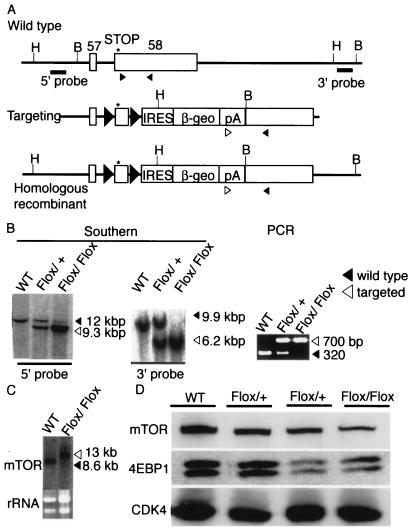 FIG. 5.