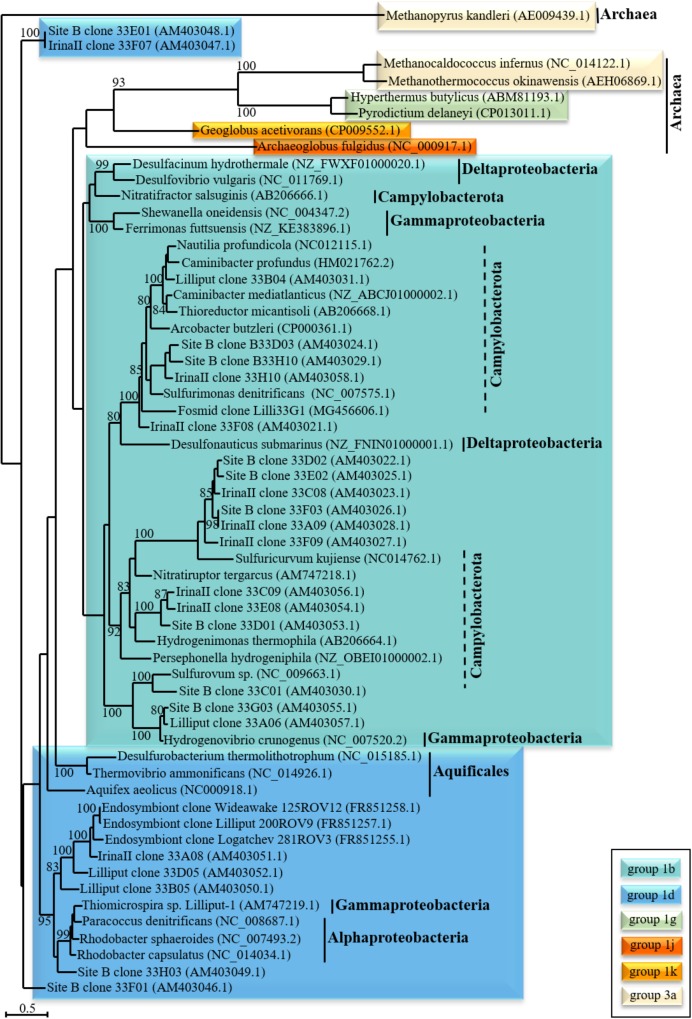 FIGURE 2