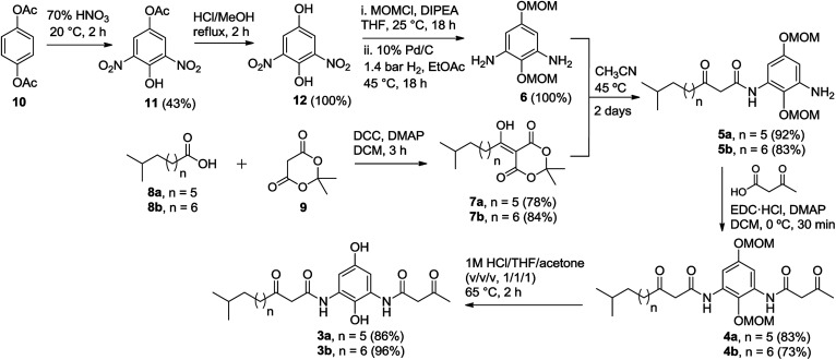 Scheme 3