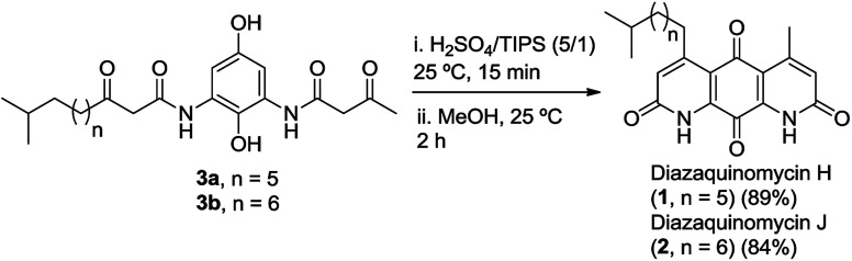 Scheme 5