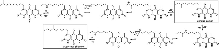 Scheme 4