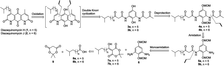 Scheme 2