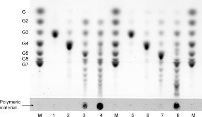 FIG. 5.