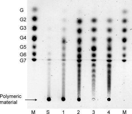 FIG. 4.