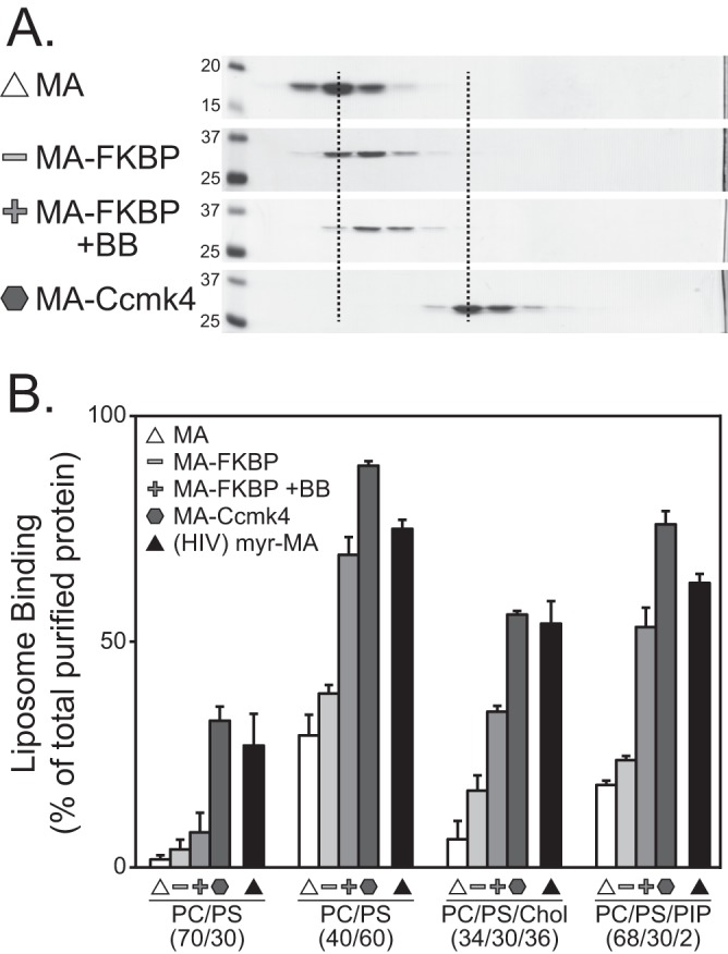 Fig 4