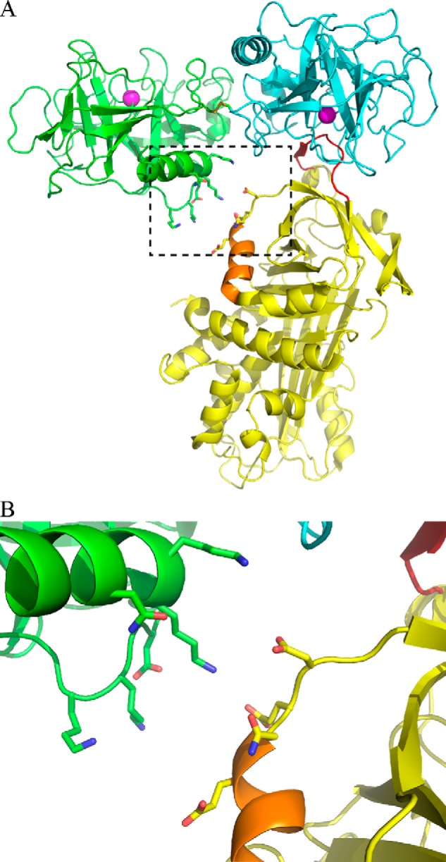 FIGURE 6.