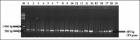 Figure-1