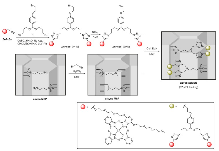 Scheme 5