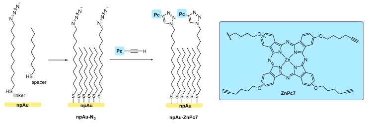 Scheme 7