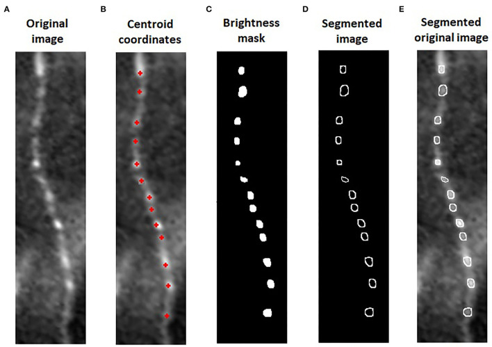 Figure 2