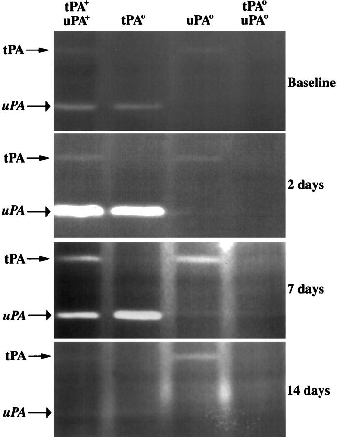 Figure 6.