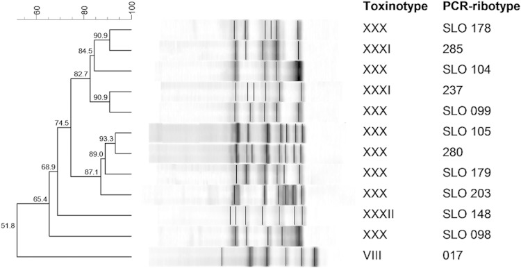 FIG 2