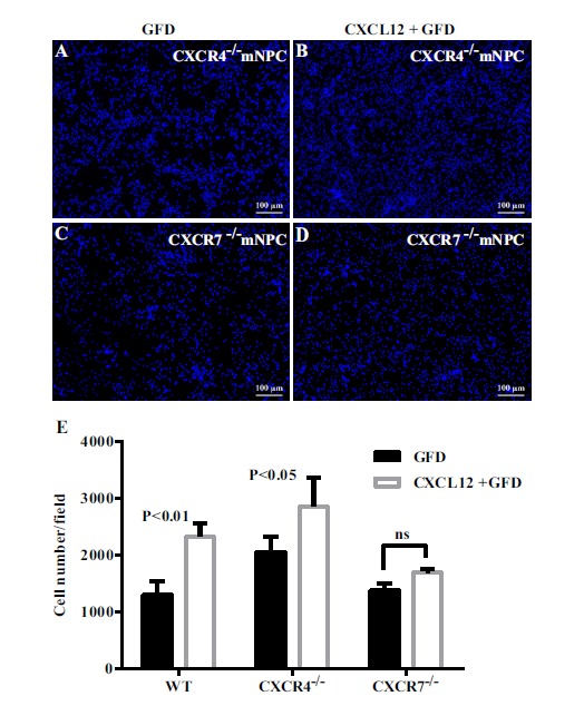 Fig. (5)