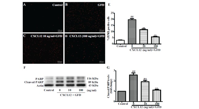 Fig. (4)