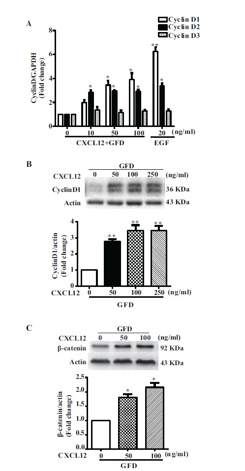 Fig. (2)