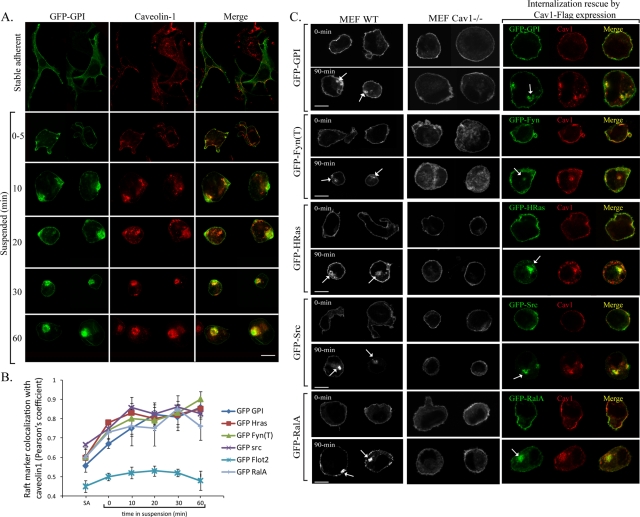 FIGURE 3: