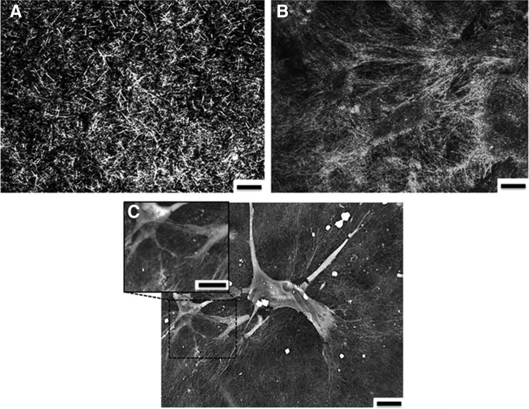 FIG. 5.