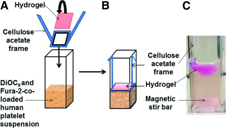 FIG. 1.